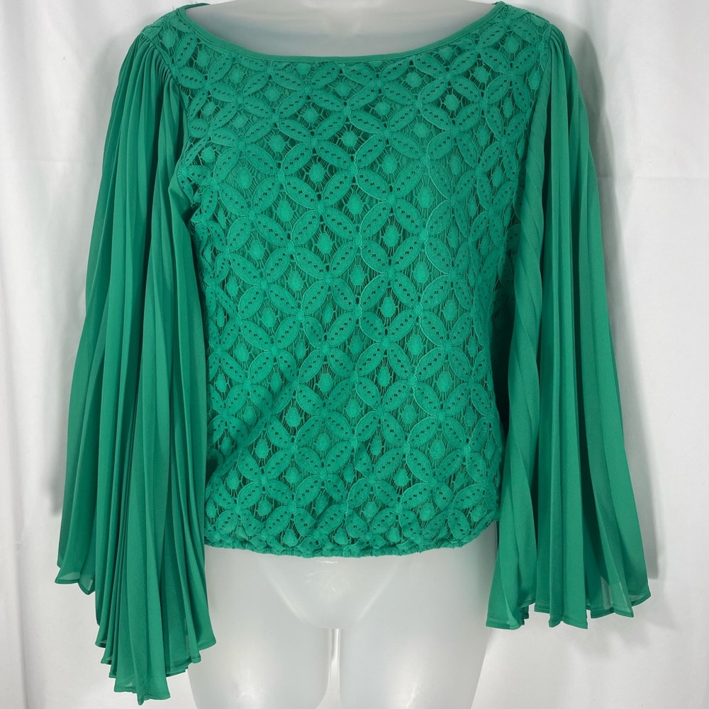 Dejavu Lace Wide Pleated Sleeve Boho Romantic Blouse